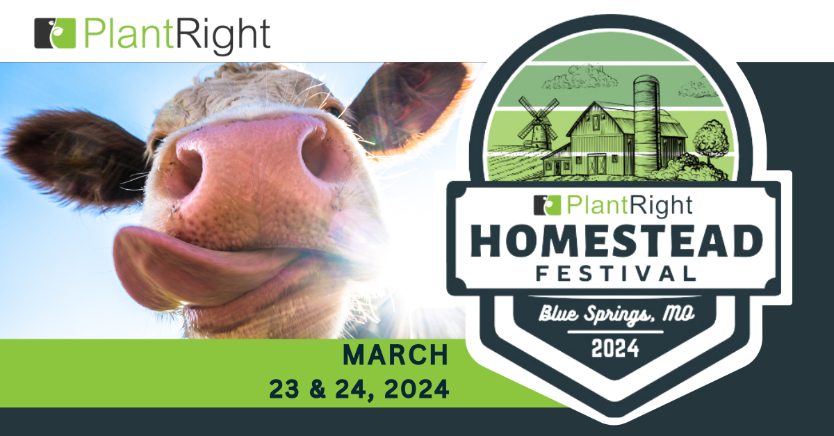 Homestead Festival 2025